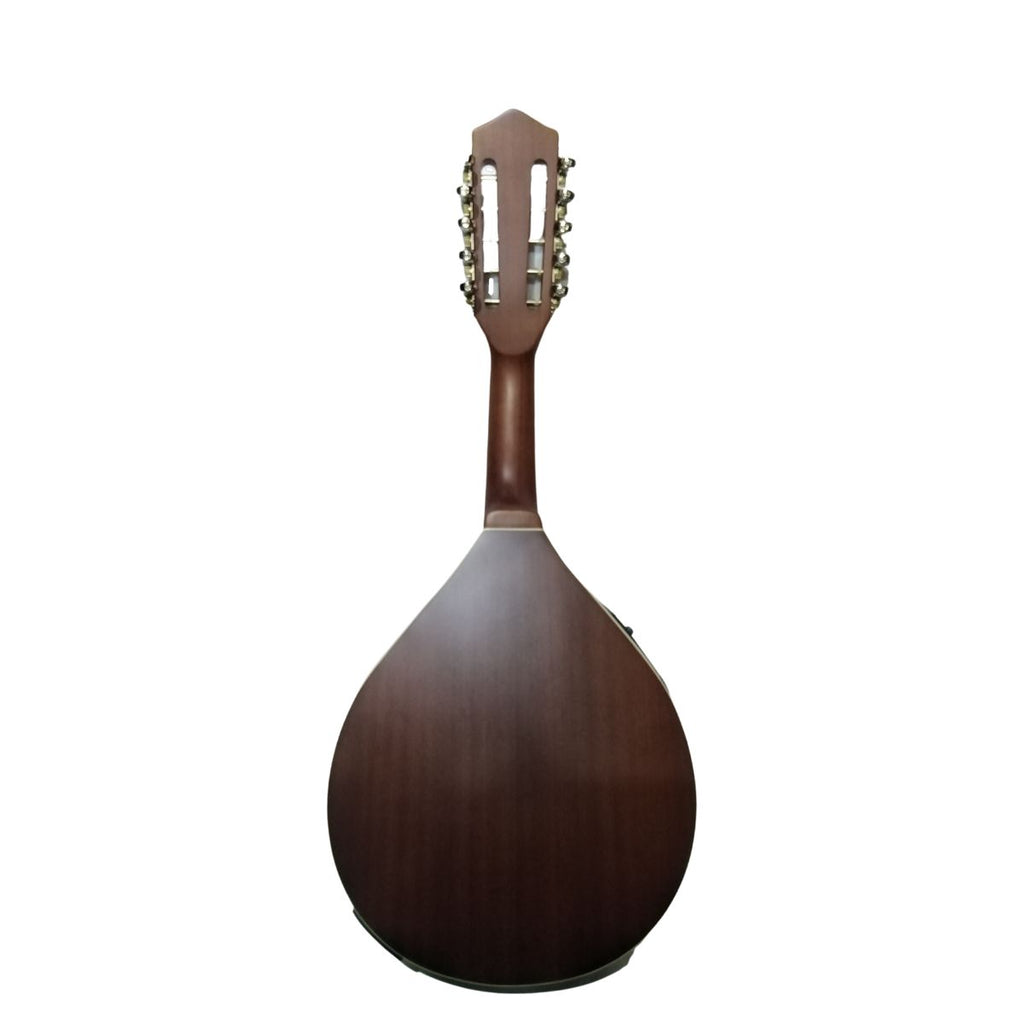 Mandolina electroacustica 10 cuerdas GCR