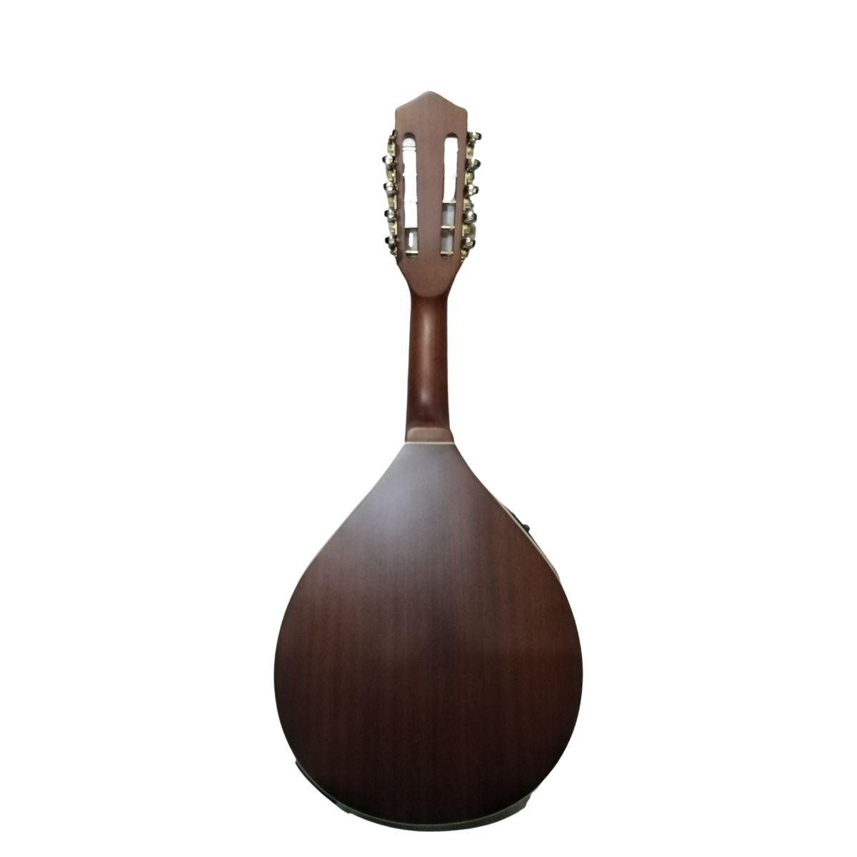 Mandolina electroacustica 10 cuerdas GCR