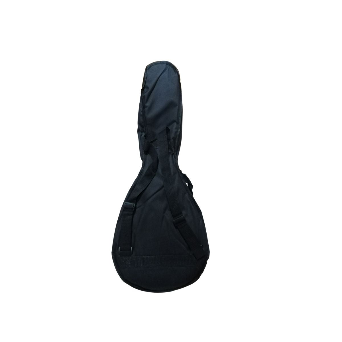 Mandolina electroacustica 10 cuerdas GCR