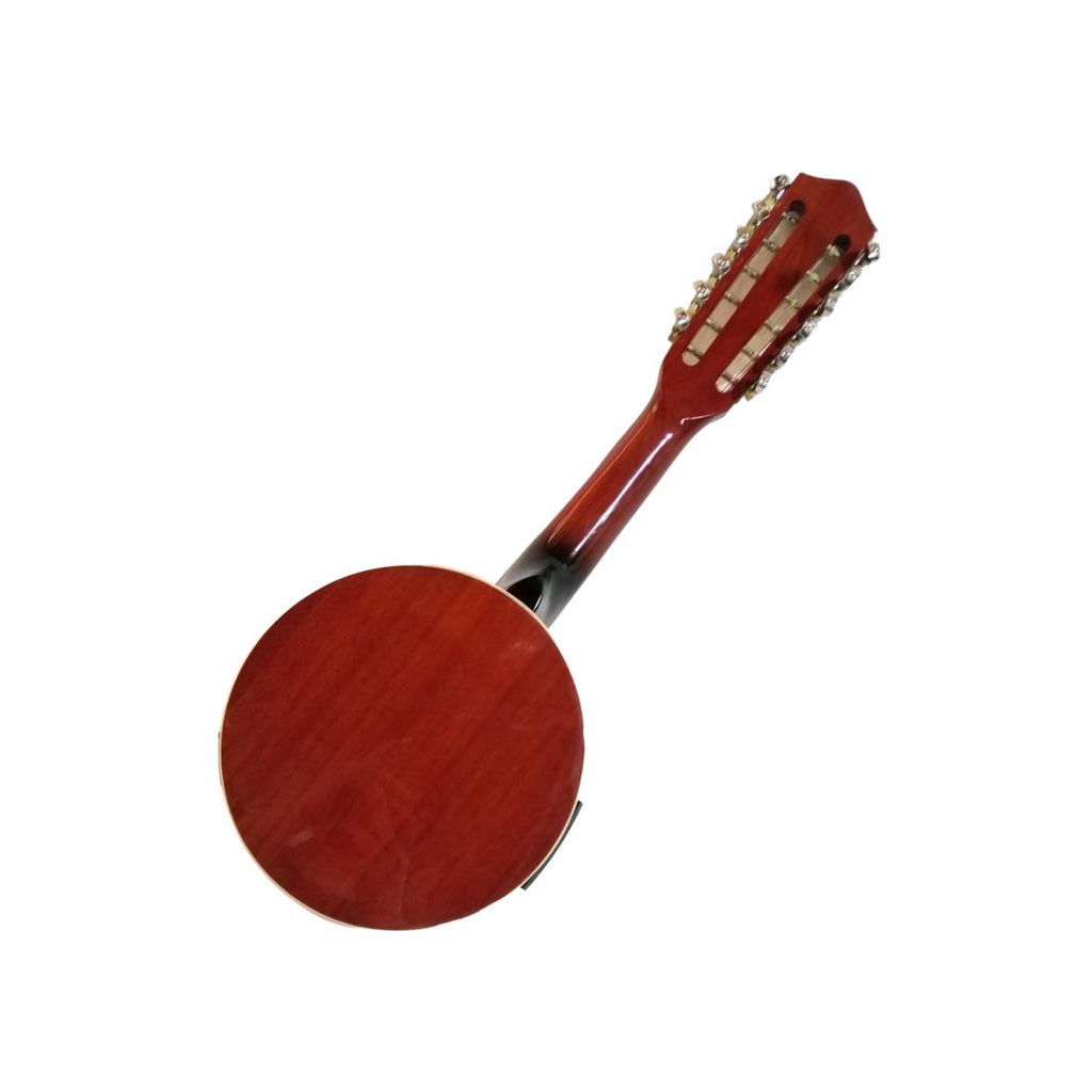 Banjo 12 Cuerdas con funda electroacústico