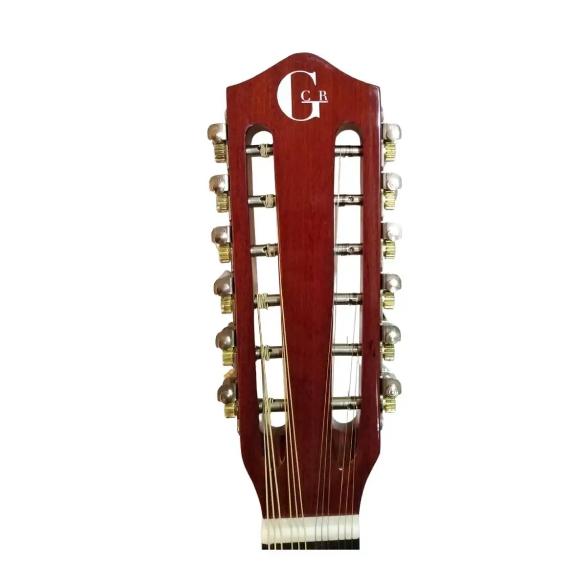 Banjo 12 Cuerdas con funda electroacústico