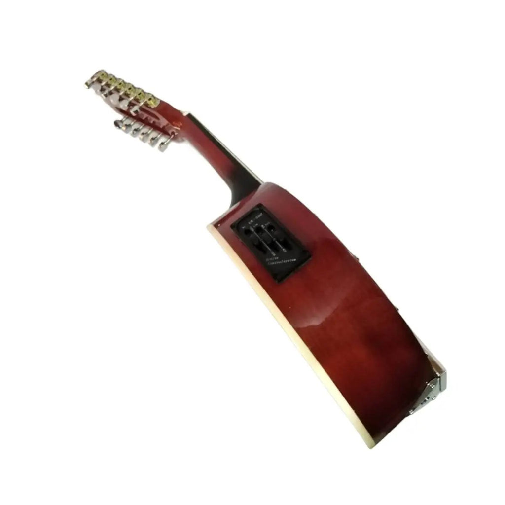 Banjo 12 Cuerdas con funda electroacústico