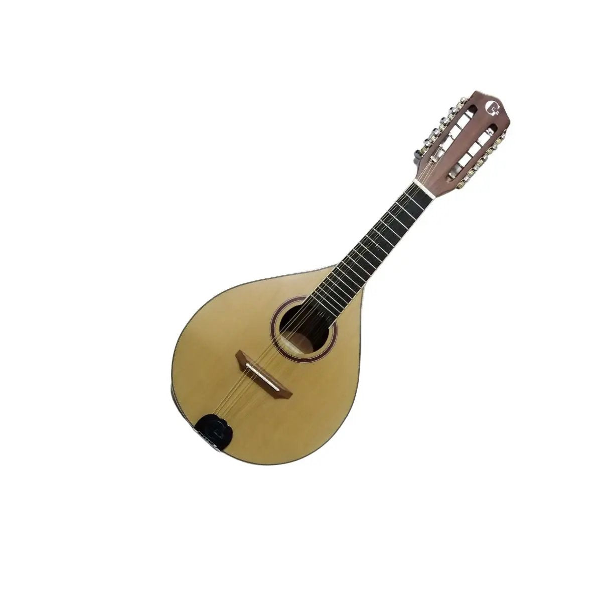 Mandolina GCR acustica 10 Cuerdas