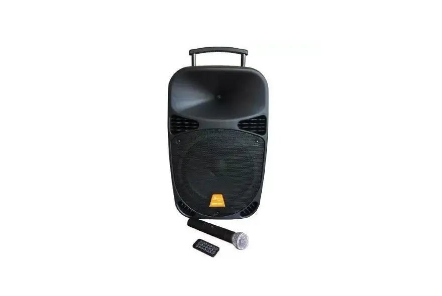 Parlante Portátil Recargable 120W Baretone - Espacio música