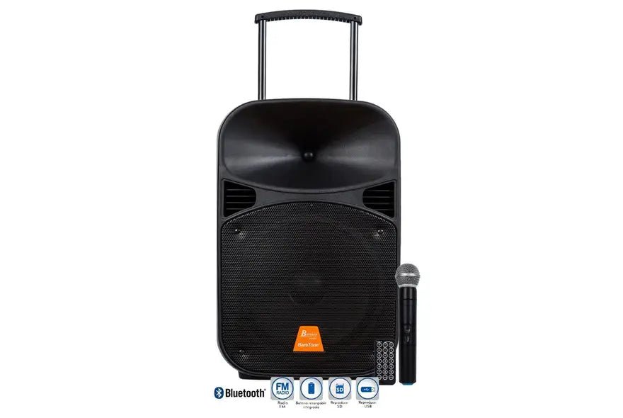 Parlante Portátil Recargable 120W Baretone - Espacio música
